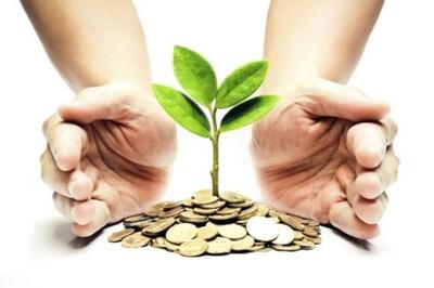 افت 44 درصدی سود خالص «وپایا»