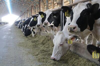 رکورد درآمدی + احتمال بالای تعدیل مثبت بودجه در «زگلدشت»