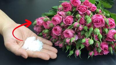  بهترین روش نگهداری از گل های چیده شده بدون پژمرده شدن / تا ۳ ماه گل تازه میماند