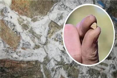  رونمایی از ذخایر عظیم طلا که سال‌ها پنهان مانده بود / فوران طلا از دل زمین