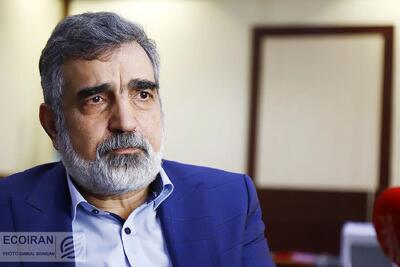 سخنگوی سازمان انرژی اتمی: بازرسی آژانس پس از حملات نظامی با نظر شورای عالی امنیت ملی بوده است