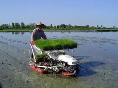 تصمیم جدید دولت برای دهک‌های پایین/پرداخت یارانه جدید به این گروه