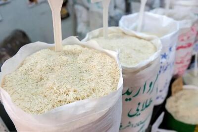 اظهارات جنجالی رئیس اتاق اصناف کشاورزی مازندران: برنج را در دریا بریزید