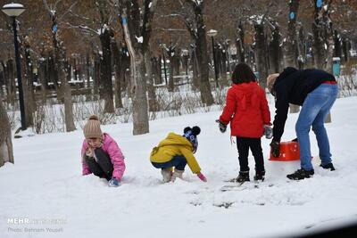 باران و برف مدارس فارس را غیرحضوری کرد