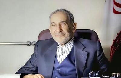 ولایتی: ایران با طرح موسوم به «ترامپ» درباره قفقاز کاملاً مخالف است