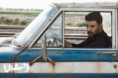 حضور پررنگ فیلم‌نت و محصولاتش در نامزدی جشن حافظ - فیلم‌ نت نیوز