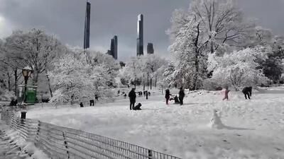  طوفان برفی و صحنه ای از پارک مرکزی نیویورک + ویدئو