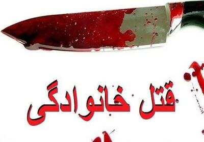  قتل مادر به دست فرزند در کهگیلویه و بویراحمد / جنایت به دلیل اختلافات خانوادگی