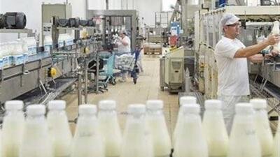 وعده دولت به کاهش قیمت شیر خام