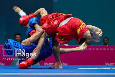 نبرد ۱۱ تیم در لیگ‌های برتر ووشو