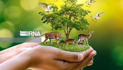 رسیدگی به ۵۷۶ شکایت مردمی/ ضرورت مشارکت همگانی در صیانت از محیط‌زیست