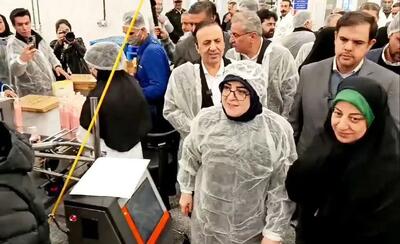 سخنگوی دولت: شرکت‌های دانش‌بنیان مورد حمایت دولت قرار می‌گیرند