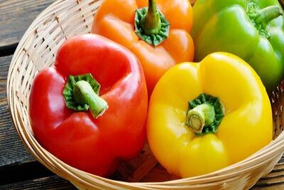 تفاوت فلفل دلمه‌ای نر و ماده / فلفل دلمه نر برای پخت و پز بهتر است یا ماده؟