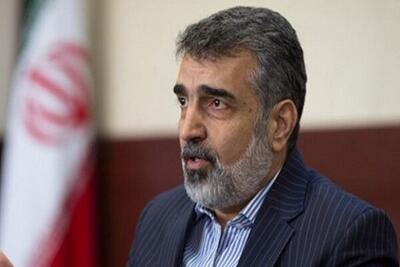  کمالوندی: بازرسی‌های اخیر آژانس با اجازه شورای عالی امنیت ملی بوده است