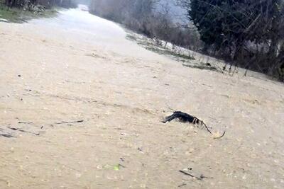 سیل در مراکش جان ۲۱ نفر را گرفت