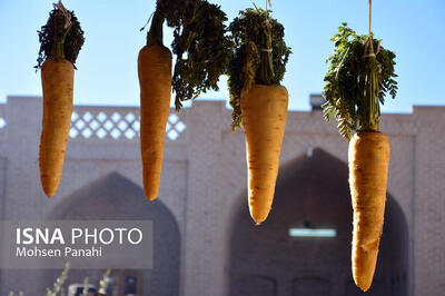  لغو جشنواره زردک خرانق به دلیل هشدارهای هواشناسی