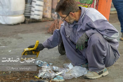 بازار چندهمتی در دل سطل‌های زباله