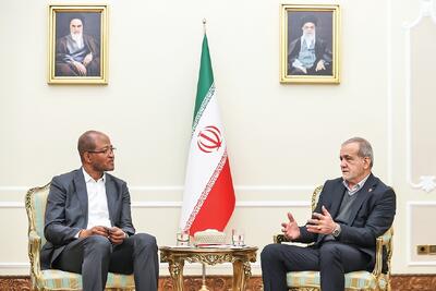 «بریکس» الگوی تقویت همکاری کشور‌های عضو