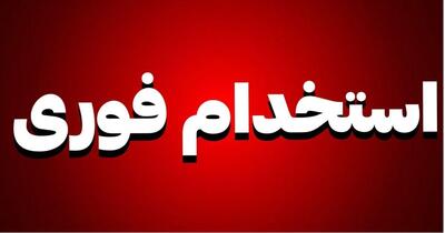 لیست جدیدترین آگهی‌های استخدام نوید وصال ایرانیان | ۲۴ آذر ۱۴۰۴