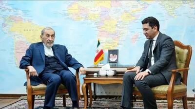  ولایتی: ایران با طرح موسوم به «ترامپ» درباره قفقاز کاملاً مخالف است