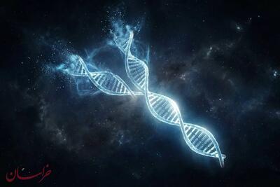 کروموزوم Y در حال نابودی است؟ حقیقت علمی درباره آینده مردان