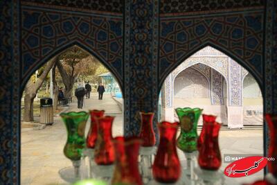 عکس شتری که به حرم امام رضا(ع) پناه برد؛ ماجرا چه بود؟ - کلبه سرگرمی