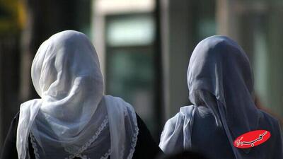  ببینید | رو دست زدن دستیار قالیباف به جلیلی درباره قانون حجاب: چرا حتی یک‌بار هم جلیلی از لاریجانی نخواست ... - کلبه سرگرمی