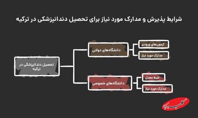  ارزانترین دانشگاه‌های دندانپزشکی ترکیه - کلبه سرگرمی
