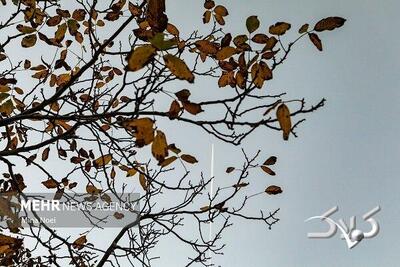 احمدی نژاد: هوای برخی مناطق استان ایلام به زیر صفر رسید - مجله اینترنتی کولاک