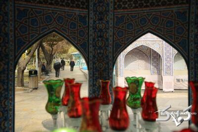 عکس شتری که به حرم امام رضا(ع) پناه برد؛ ماجرا چه بود؟ - مجله اینترنتی کولاک