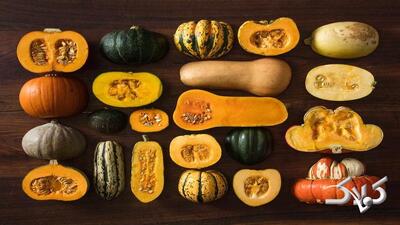 راهنمای کامل انتخاب کدو حلوایی برای سفره شب یلدا/ فرق کدو حلوایی و کدو تنبل - مجله اینترنتی کولاک