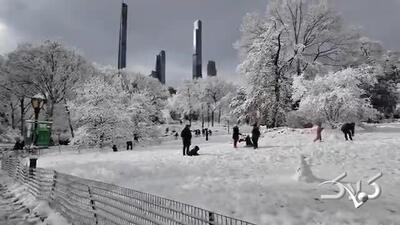 طوفان برفی و صحنه ای از پارک مرکزی نیویورک + ویدئو - مجله اینترنتی کولاک