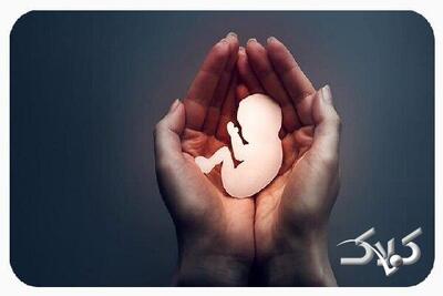 آمار سقط جنین در کشور ۳۰ برابر تلفات تصادف! - مجله اینترنتی کولاک