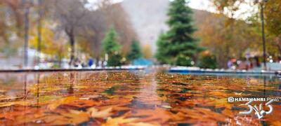 آغاز رگبارهای سیل‌آسا و برف سنگین تا جمعه | فهرست شهرهای درگیر بارش شدید تا ۲۸ آذر | شدت فعالیت سامانه در ۴ استان - مجله اینترنتی کولاک