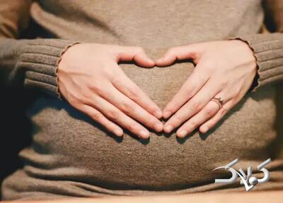 شکاف عضلات راست شکمی پس از زایمان: از تحقیقات پایه تا عمل بالینی + عکس - مجله اینترنتی کولاک