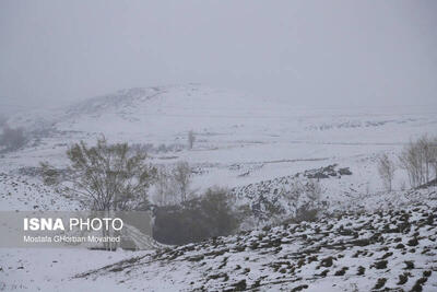 کدام استان‌ها برفی می‌شوند؟