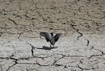 خشکسالی چگونه منازعات هیدروپلیتیک را در پیرامون ایران تشدید کرده است؟