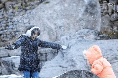 عکس/ گنجنامه برفی