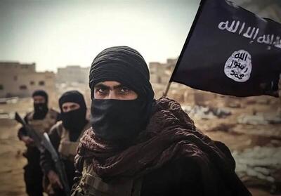 فیلم/  گروهک‌های تروریستی  ویروس‌هایی که توسط اسرائیل جهش یافته‌اند