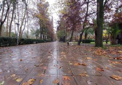 فیلم/ آسمان رشت بارانی شد