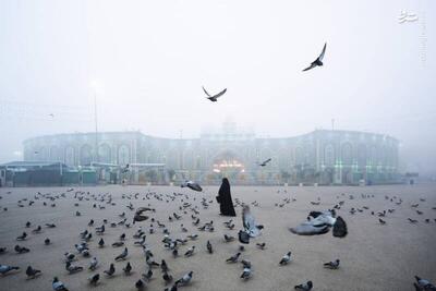  عکس/ بین‌الحرمین غرق در مه شد