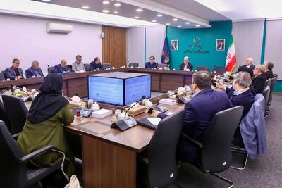  برنامه‌ریزی برای اصلاح و تکمیل سند ملی موسیقی در شورای هنر