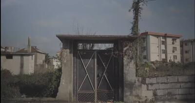 مستندی از «عکاسخانه» پدربزرگ؛ بدون حمایت فرصت تجربه‌گرایی ازدست می‌رود