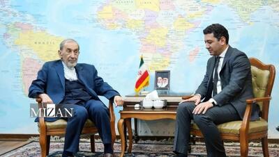 ولایتی: ایران با طرح موسوم به «ترامپ» درباره قفقاز کاملاً مخالف است