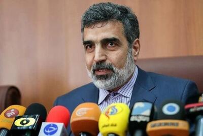 کمالوندی: بازرسی‌های اخیر آژانس با اجازه شورای عالی امنیت ملی بوده است