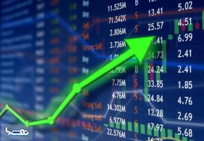 فتح قله جدید در بورس | نفت ما
