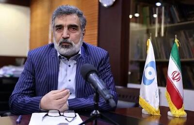 ایران بدون مذاکره و تائید امنیتی اجازه دسترسی به آژانس نمی دهد