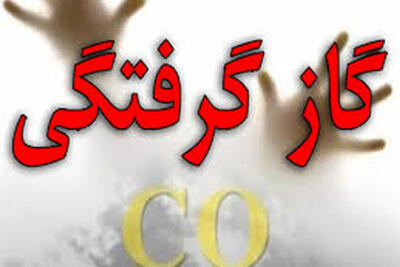گازگرفتگی جان 9 کارگر را در منطقه صنعتی دولت‌آباد اصفهان گرفت