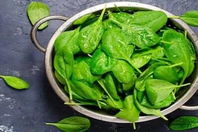  اسفناج و کلم پیچ؛ راز جوانی مغز و بد
