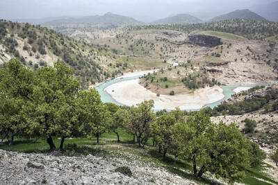 تخریب باقیمانده جنگل‌های زاگرس با جنگلداری اجتماعی